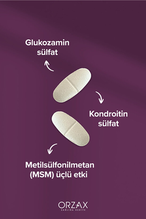 Orzax Cosakondrin MSM 60 Tablet