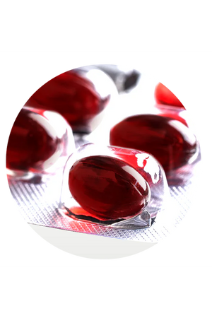 New Life CoEnz QH 100 mg 30 Kapsül