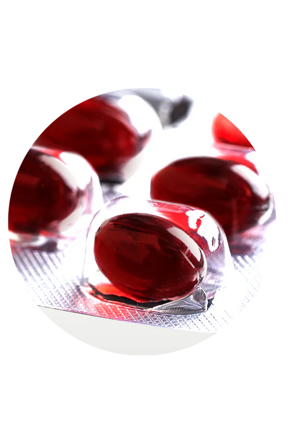 New Life CoEnz QH 100 mg 30 Kapsül