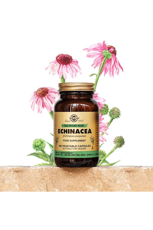 Solgar Echinacea 100 Kapsül