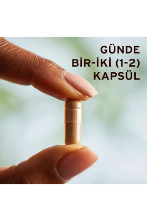 Solgar Green Tea Leaf Extract 60 Kapsül