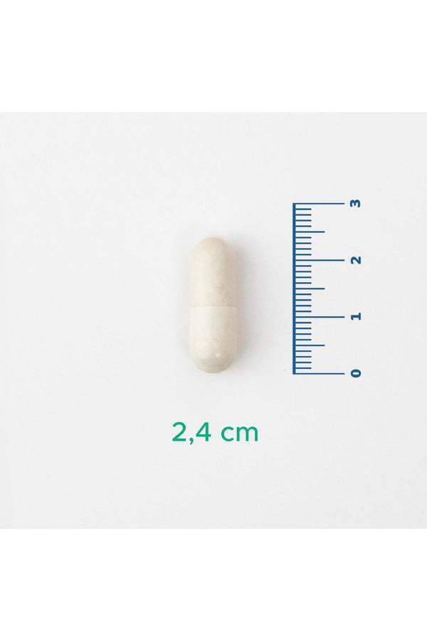 Velavit V-Arginmen 120 Kapsül