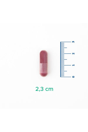 Velavit V-Cranberry & Vit C 30 Kapsül