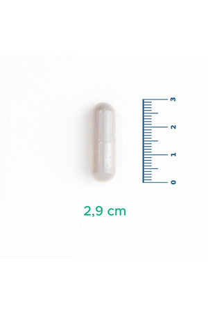 Velavit V-Firstect with Colostrum 30 Kapsül