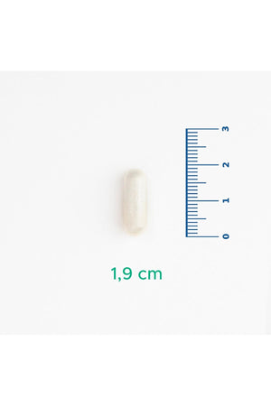 Velavit V-Nattokinase 100 mg 30 Kapsül