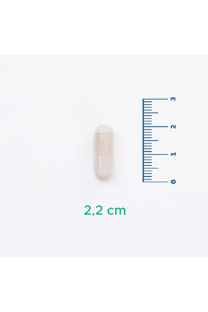 Velavit V-NR 30 Kapsül