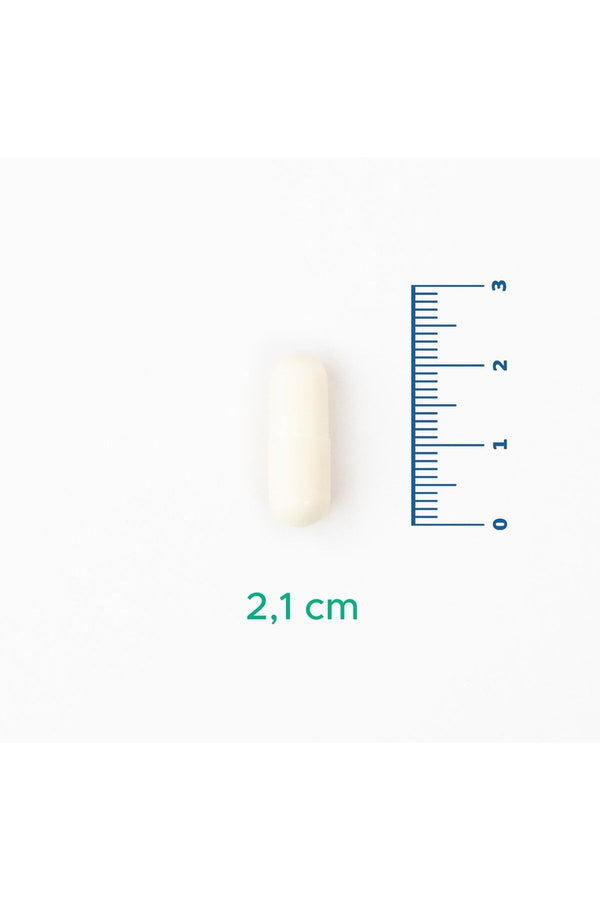 Velavit V-Resveratrol 1000 mg 120 Kapsül