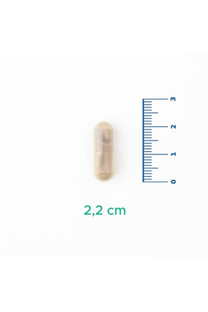 Velavit V-St. John's Wort & Rhodiola 30 Kapsül