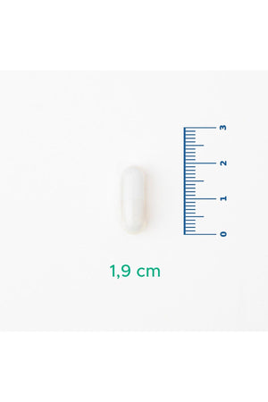 Velavit V-Zinc Picolinate 15 mg 30 Kapsül